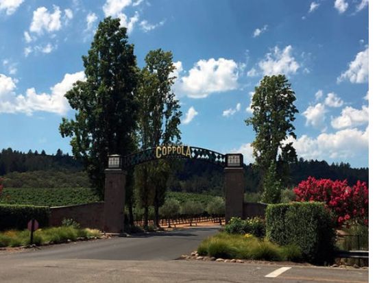 ナパ＆ソノマバレー ワイナリーツアー　オーパス・ワン＆キスラー・ヴィンヤーズ＆フランシス・フォード・コッポラ・ワイナリー ＜日本語ガイド／ワイナリー3軒＞