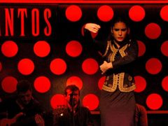 Flamenco Show