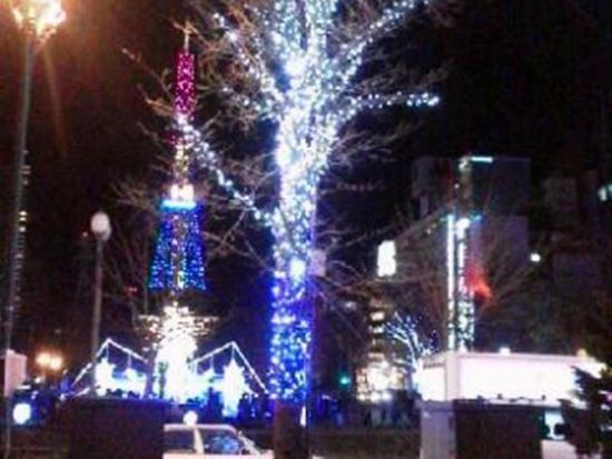 貸切観光タクシー アルファードでちょっと贅沢な札幌めぐり＜2～3時間／1～4名／札幌市内中心部送迎可＞