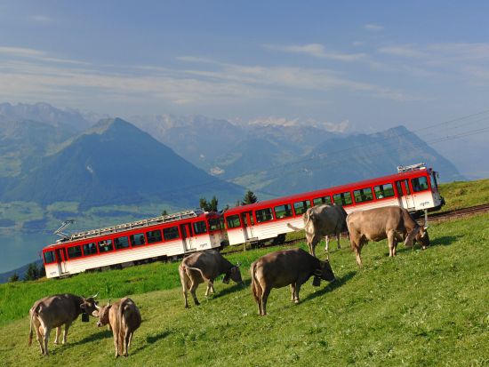 スイスアルプスの女王 リギ山＆ルツェルン市内　日帰り観光ツアー ＜チューリッヒ発／英語ガイド＞