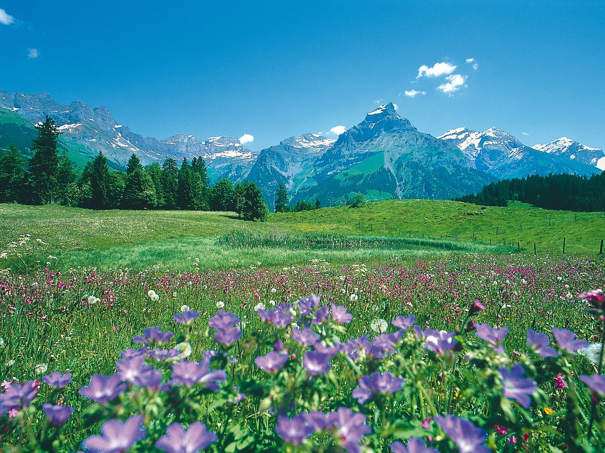 中央スイス アルプスの美しい村めぐりツアー 古都ルツェルン＆天使の里