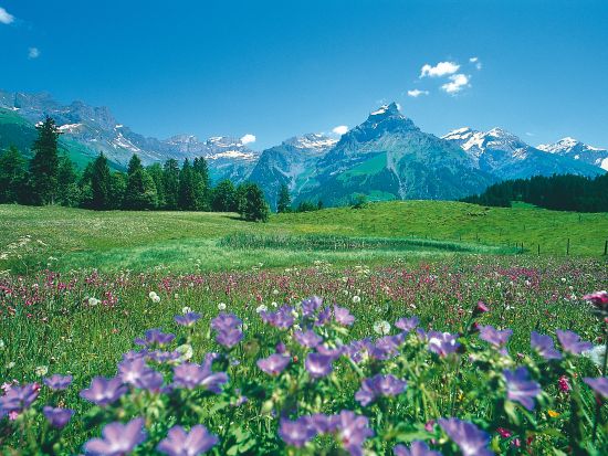 中央スイス アルプスの美しい村めぐりツアー　古都ルツェルン＆天使の里エンゲルベルク ＜チューリッヒ発＞