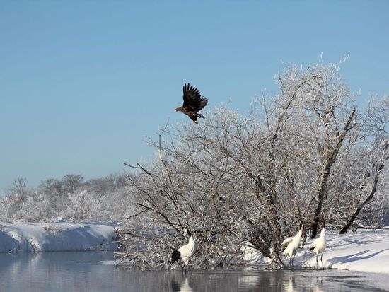 63bd598c-b53c-49fa-8490-fcb69d33f69d