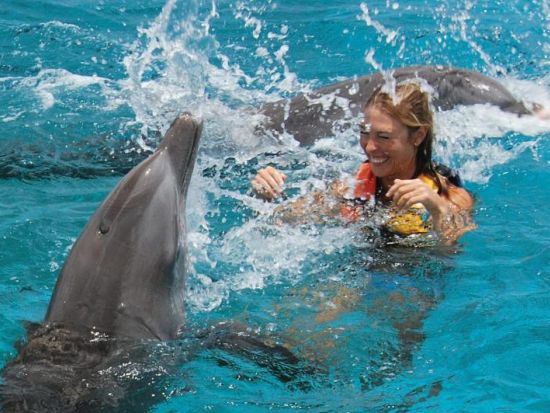 海のテーマパーク「チャンカナブ国立公園」入場券　ドルフィン・プログラム体験　イルカといっしょに遊ぼう！＜英語ガイド／昼食付／現地集合＞