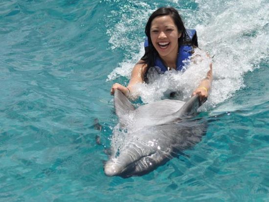 海のテーマパーク「チャンカナブ国立公園」入場券　ドルフィン・プログラム体験　イルカといっしょに遊ぼう！＜英語ガイド／昼食付／現地集合＞