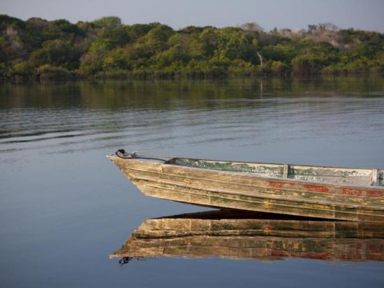 2つの川の合流地点を望む！アマゾン川クルーズ観光ツアー＜貸切／1日／昼食／英語ガイド／マナウス発＞