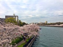 Rocking大阪2