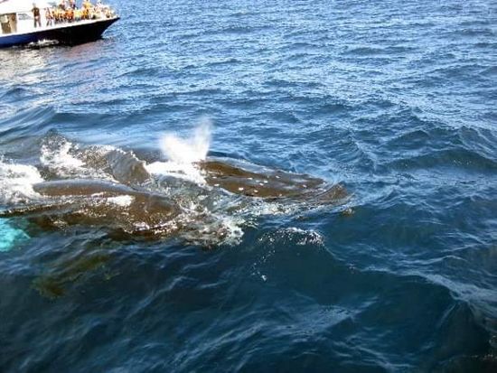 FB_IMG_1448241421464