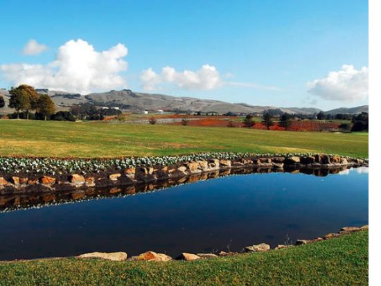 ナパバレー ワイナリー＆ゴルフツアー　オーパス・ワン訪問＆イーグル・ヴァインズ・ゴルフクラブ18ホール ＜日本語ガイド／ワイナリー1軒＞