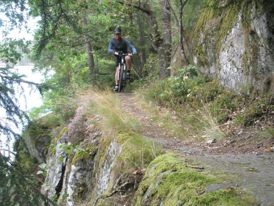 ストックホルム市内 自転車ツアー 地元っ子の目線で散策！＜4～11月中旬／午前または午後／ストックホルム発＞