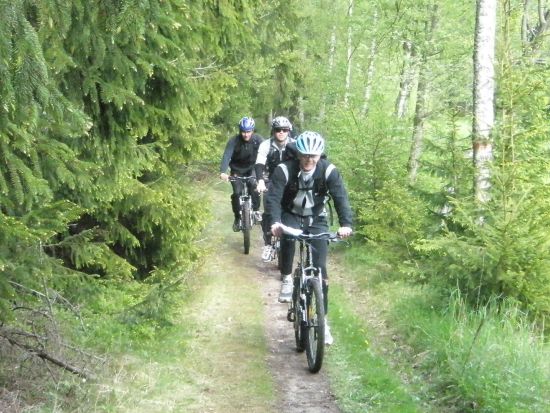 ストックホルム市内 自転車ツアー 地元っ子の目線で散策！＜4～11月中旬／午前または午後／ストックホルム発＞