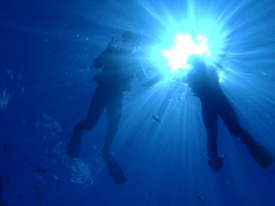 シュノーケリング 海デビューにピッタリ♪1歳からOK！6歳以上は青の洞窟シュノーケリングも参加可能＜恩納村発＞by 沖縄ダイビングショップ Sea Free