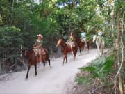 Mexico_Riviera Maya_jungle_horseback ride