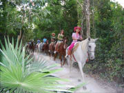 Mexico_Riviera Maya_Cancun_horseback ride