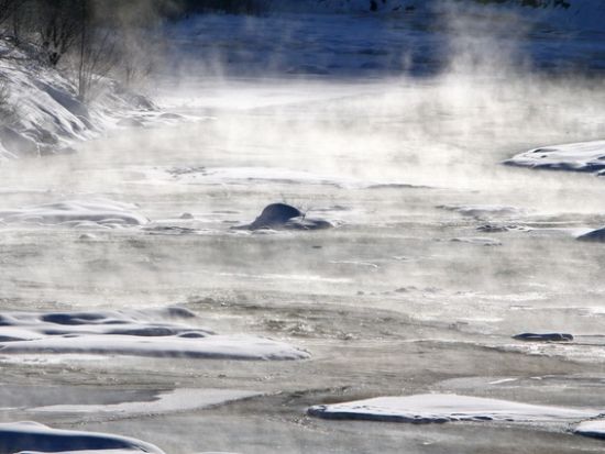 朝のスノーシューツアー 水と氷が生み出した不思議な自然現象川霧やフロストフラワーなどが見れるかも＜3歳～参加OK12月~3月／富良野エリア送迎付き／富良野市＞