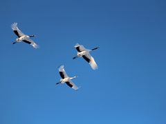 IMG_2255