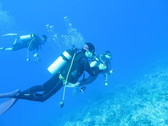 ファンダイビング 神津島のビーチで潜ろう Tears Blue ティアーズブルー 神津島村発 伊豆諸島 小笠原諸島の観光 遊び 体験 レジャー専門予約サイト Veltra ベルトラ ファンダイビング 神津島のビーチで潜ろう Tears Blue ティアーズブルー 神津島村発 伊豆諸島 小笠原諸島の観光 遊び 体験 レジャー専門予約サイト Veltra ベルトラ