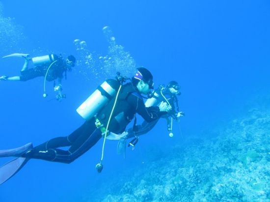 ファンダイビング 神津島のビーチで潜ろう[Tears Blue（ティアーズブルー）/神津島村発]