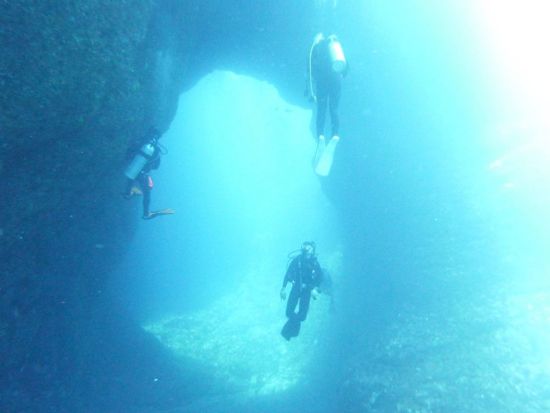 ファンダイビング じっくりダイビングを楽しもう[Tears Blue（ティアーズブルー）/神津島村発]