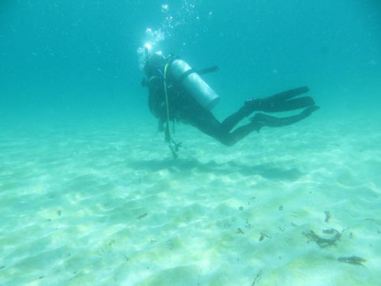 リフレッシュダイビング 神津島でブランクを埋めよう[Tears Blue（ティアーズブルー）/神津島村発]