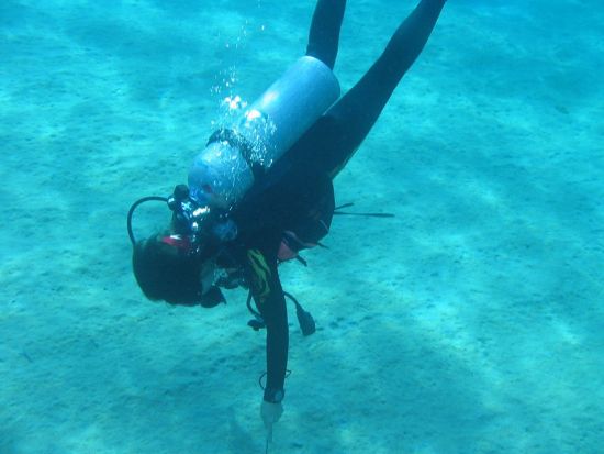 ファンダイビング じっくりダイビングを楽しもう[Tears Blue（ティアーズブルー）/神津島村発]