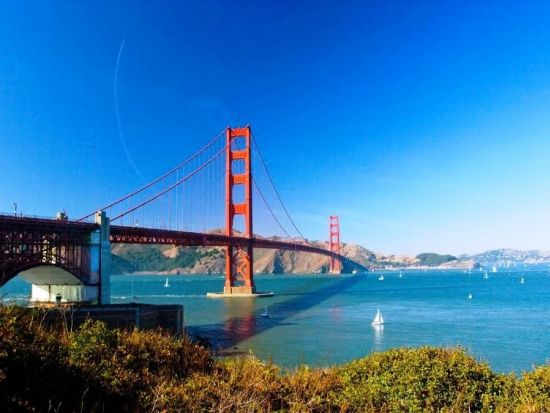 ソノマバレー ワイナリーツアー　キスラー・ヴィンヤーズ＆フランシス・フォード・コッポラ＆リットン・スプリングスなど ＜日本語ガイド／ワイナリー4軒＞