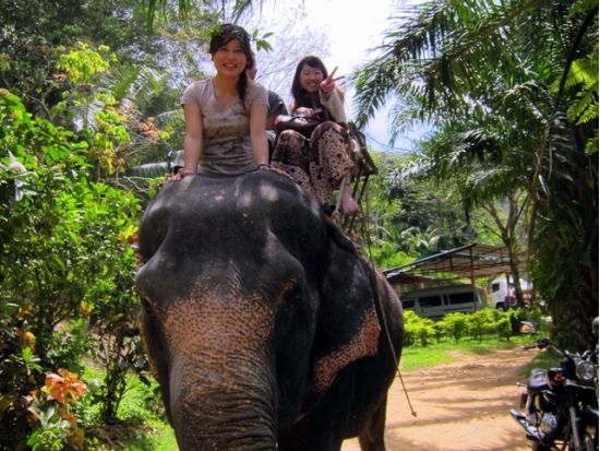 やっぱり象さんに乗りたい！ラフティング（セルフパドル体験可）＋象乗り＋本格ATV60分＜終日／英語ガイド／トンパリワット自然保護区＞