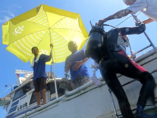 ファンダイビング 鹿児島周辺のビーチで潜ろう 1名～参加OK<鹿児島市発> by アクアトリップ ダイビング