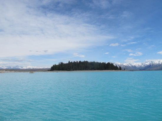 テカポ1泊2日　人気の星空スポット宿泊ツアー！4.5つ星リゾート滞在＜朝・夕食付／英語／発着地選択可／Gray Line社＞