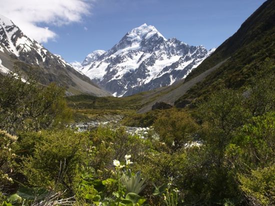 マウントクック＋テカポ2泊3日　大自然を満喫！宿泊付きパッケージ＜英語／発着地選択可／Gray Line社＞