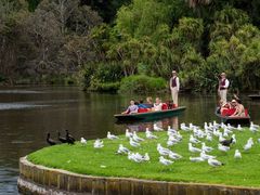 Punting at the Gardens