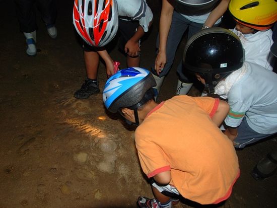 洞窟探検ツアー 久米島の歴史が残るヤジヤーガマを冒険家気分で探検 久米島 久米島の観光 オプショナルツアー専門 Veltra ベルトラ 洞窟探検ツアー 久米島の歴史が残るヤジヤーガマを冒険家気分で探検 久米島 久米島の観光 オプショナルツアー専門 Veltra ベルトラ