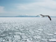 オホーツクの流氷と知床半島