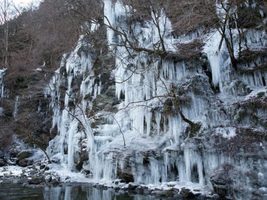 氷の芸術 奥秩父 三十槌の氷柱 往復ロープウェイ利用 陽春の宝登山 読売旅行 東京発 埼玉の観光 遊び 体験 レジャー専門予約サイト Veltra ベルトラ