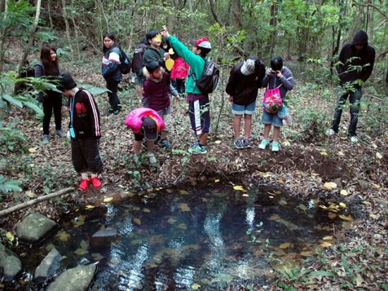 トレッキングツアー　ラムサール条約登録の湿地とニブチの森を散策＜久米島＞