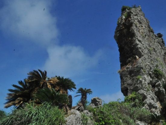 ビーチクリーニング　立神海岸海の歴史を学んでビーチを綺麗にしよう！＜久米島＞