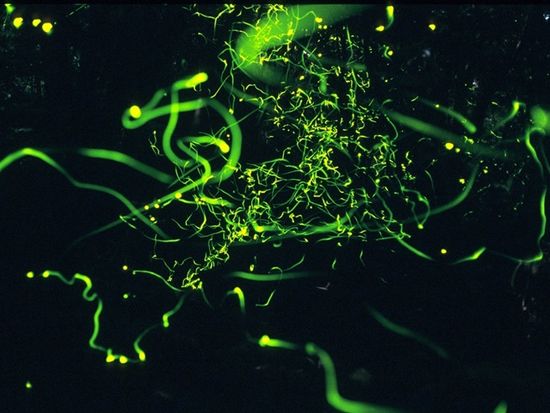 クメホタル９ｂ