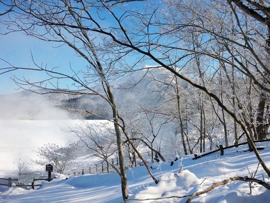 e3d98977a46e490a8befac0347dbacf230c1523abig