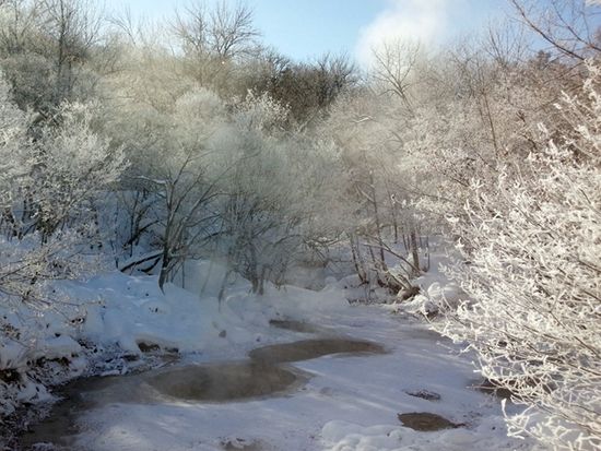 e3d98977a46e490a8befac0347dbacf230c1523abig