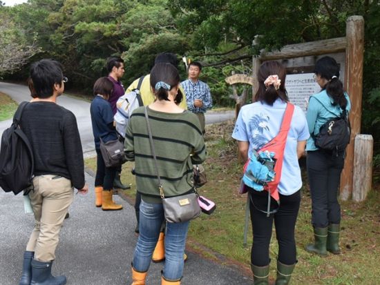 トレッキングツアー　ラムサール条約登録の湿地とニブチの森を散策＜久米島＞