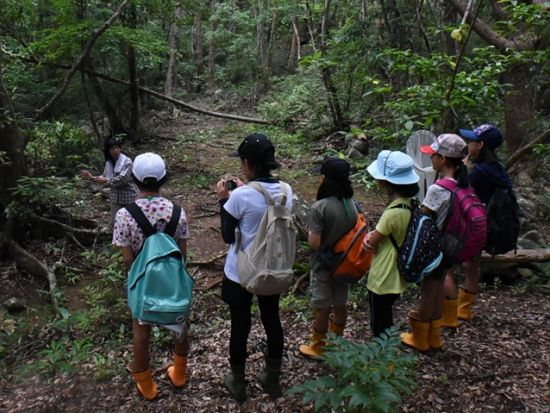 トレッキングツアー　ラムサール条約登録の湿地とニブチの森を散策＜久米島＞