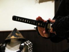 IMG_0537