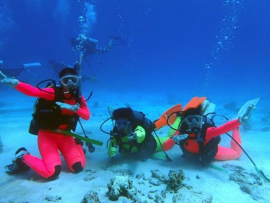 12038544_429066413947211_6805836914113808777_n