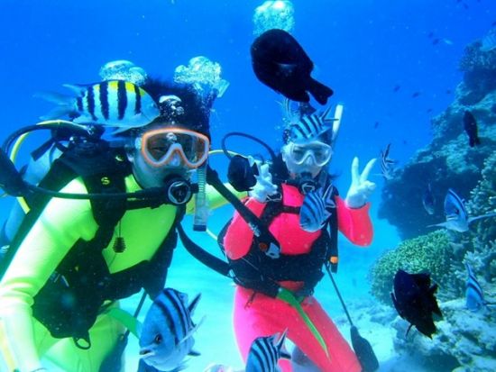 体験ダイビング（本部町） 4種のクマノミに会いに行こう！足の届くところからエントリーできるビーチダイブ by 美ら海ダイビングセンター