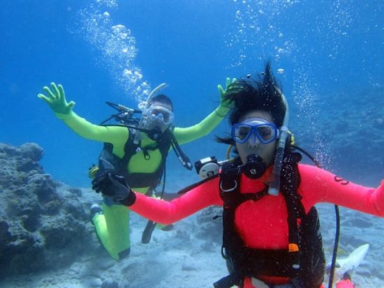 体験ダイビング（本部町） 4種のクマノミに会いに行こう！足の届くところからエントリーできるビーチダイブ by 美ら海ダイビングセンター