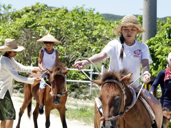 乗馬体験 「与那国馬」に乗ってトレッキング 与那国唯一の島ガイドがご案内 初心者も安心のミニレッスン付プランあり＜与那国島＞