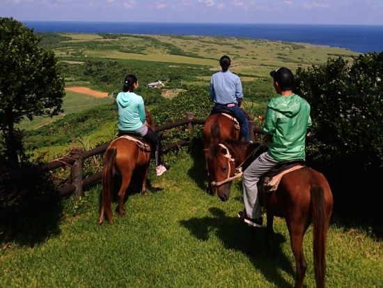 乗馬体験 「与那国馬」に乗ってトレッキング 与那国唯一の島ガイドがご案内 初心者も安心のミニレッスン付プランあり＜与那国島＞