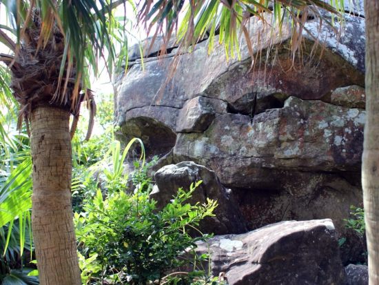 島ガイドと与那国の謎を解き明かす！巨石文化のロマンと島の不思議に触れるミステリーツアー＜3時間／与那国島＞