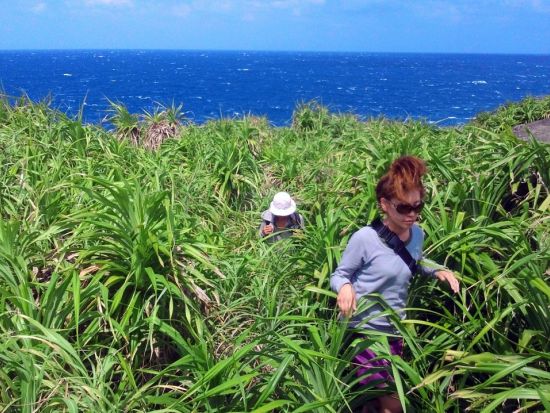 与那国絶景ツアー　島ガイドと日本最西端の地を巡る！景勝地・遺跡・自然遺産を学ぶ島内ツアー＜3時間／与那国島＞