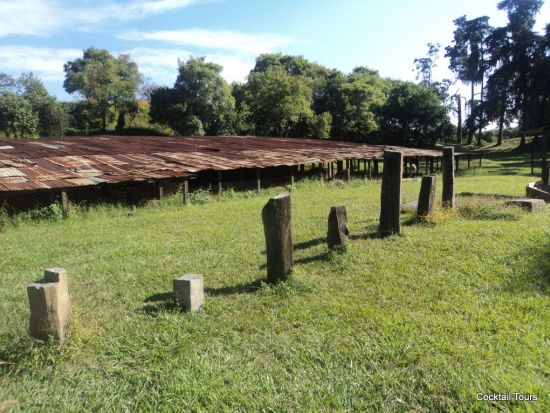 カミナルフユ遺跡半日観光ツアー＜日本語または英語ガイド／グアテマラシティ発＞